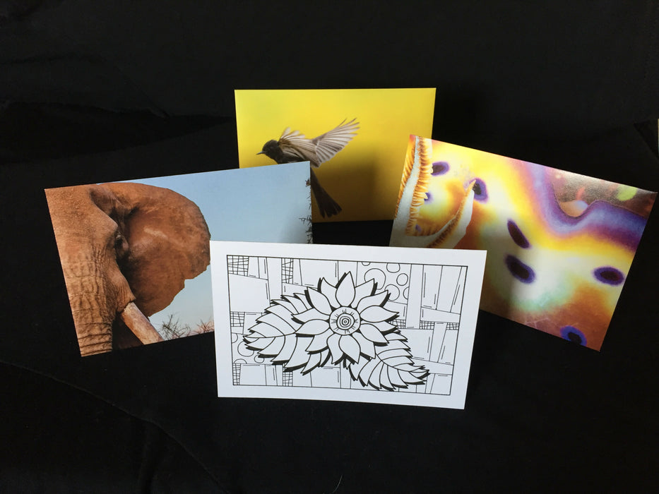 The second card features an artistic design of a flower on a checkered background.