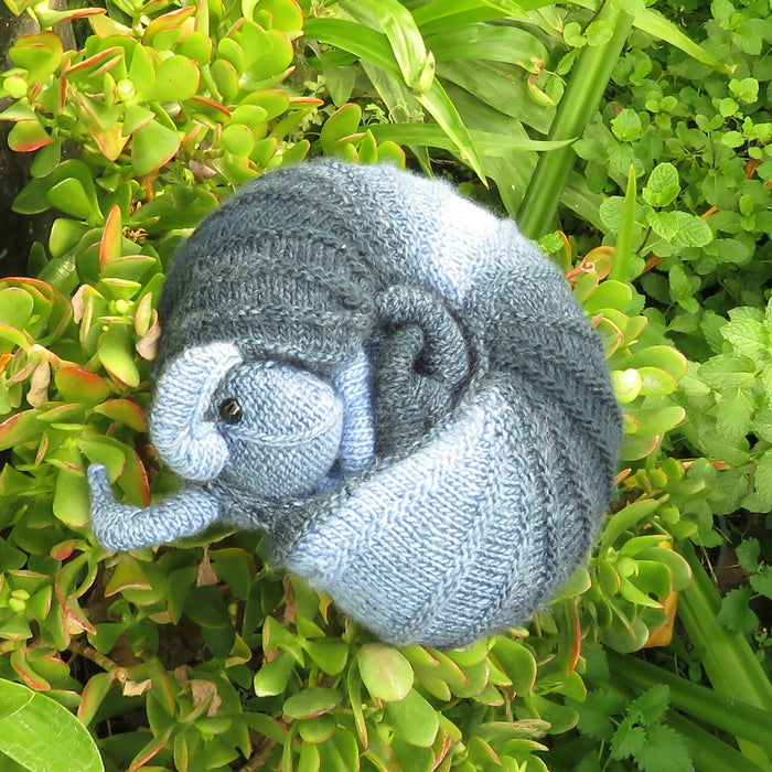 Custom Order Roly Poly Pill Bug