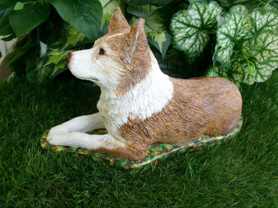 Blue tick Heeler do Concrete High 11.5 x 5.5 x 7"