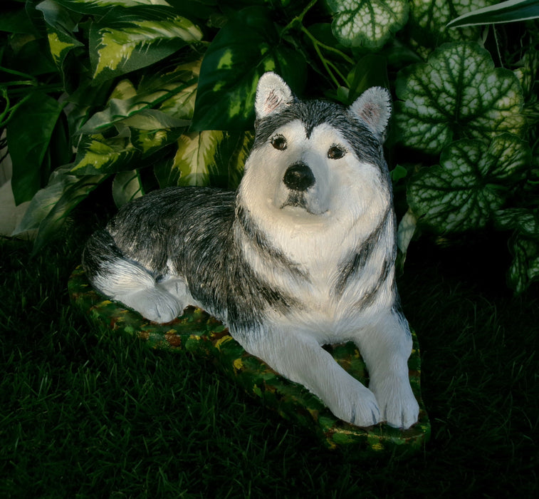 Malamute Husky Concrete Statue 10 x 5x 6-1/2 High