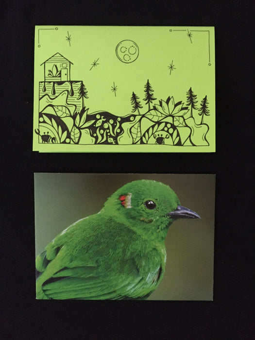 Card features evening nature scene with trees, fish, crabs, and a house on lime green paper. Envelope features close-up photograph of a green bird.