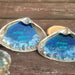 This shows the set of 2 Love You and Love You More resin ocean Beach scenes set in the center of large natural Clam shells.  The resin in the center is bright blue to act as the water and there is Sand along the outer edge to represent the shore line.