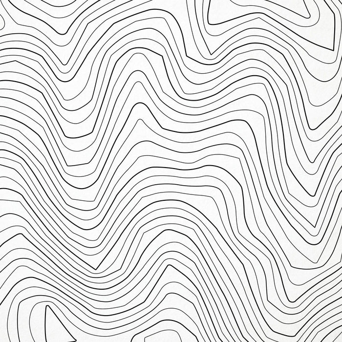 Close-up of black labels and contour lines for Bluewood ski area poster with map art.