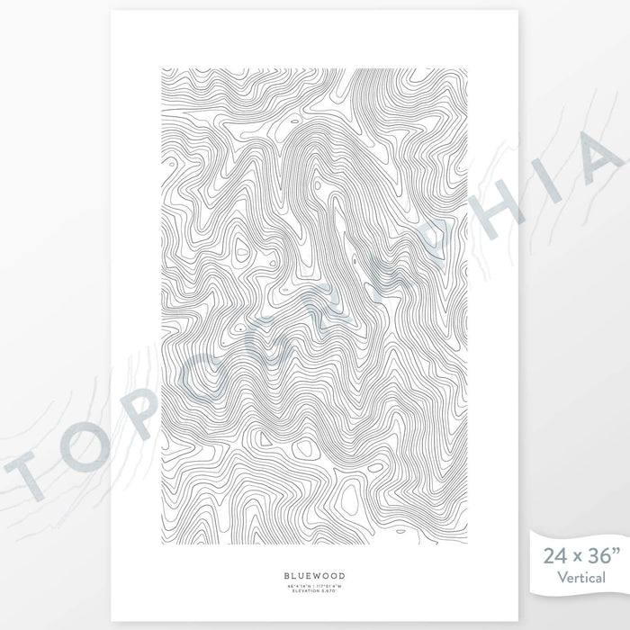 Vertical orientation Bluewood ski area poster with topographic map design.
