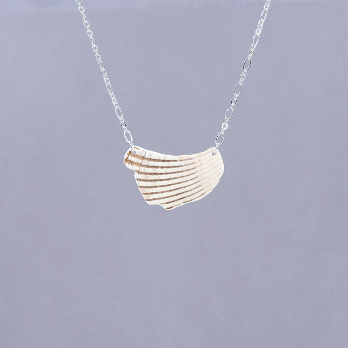 Seashell Necklace