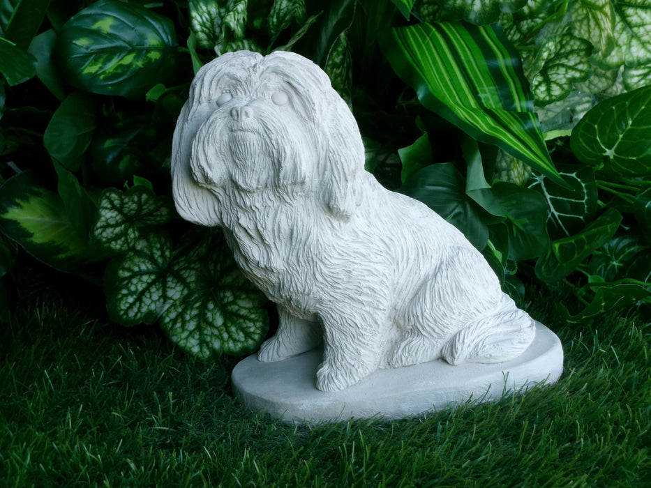 Maltese or Morkie Dog Concrete 5.5x7.5 x 8" High