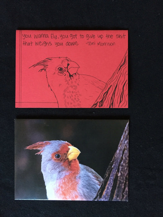 Envelope features photograph of female cardinal. Card features drawing of cardinal with Toni Morrison's words, you wanna fly, you got to give up the s*** that weighs you down.