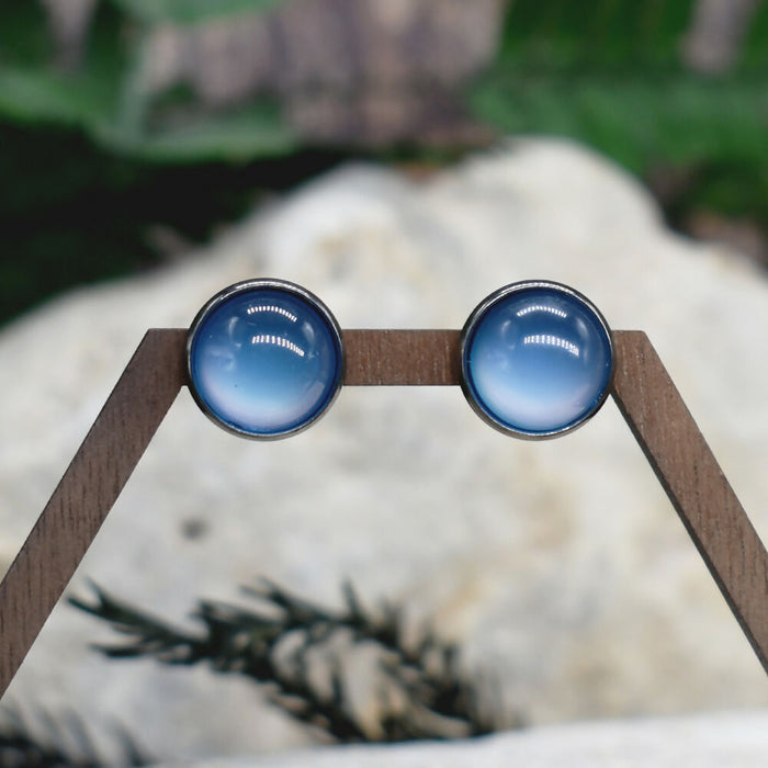 Stud Earrings With Resin Cabochon #263