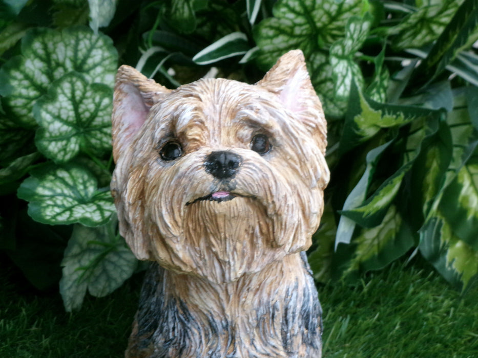 Yorkshire Terrier Concrete Statue, 4x8x9" High