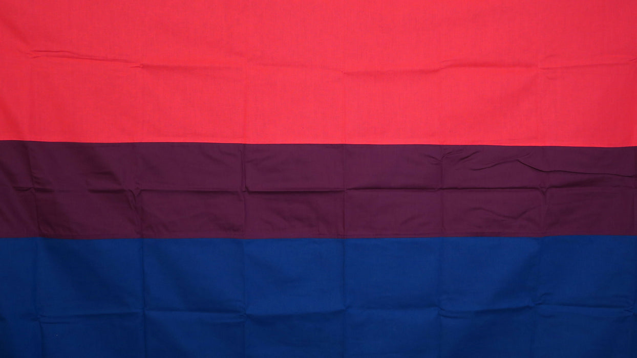 bi flag, colors are pink, purple and blue