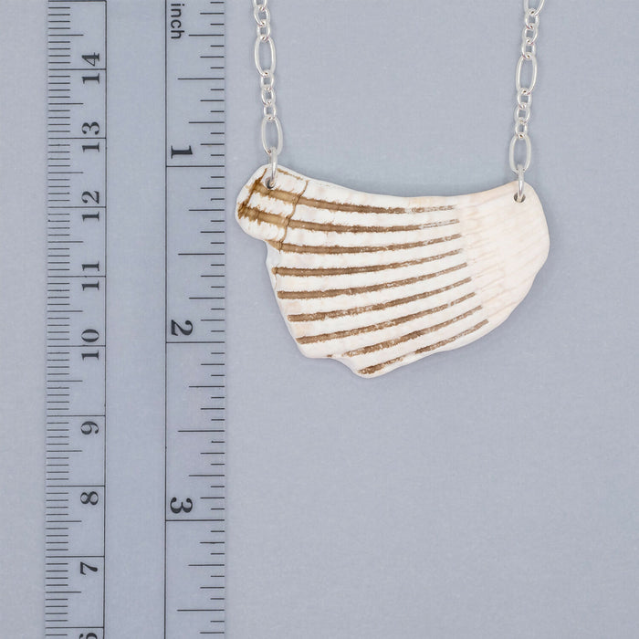 Seashell Necklace