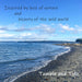 beach TandT square2