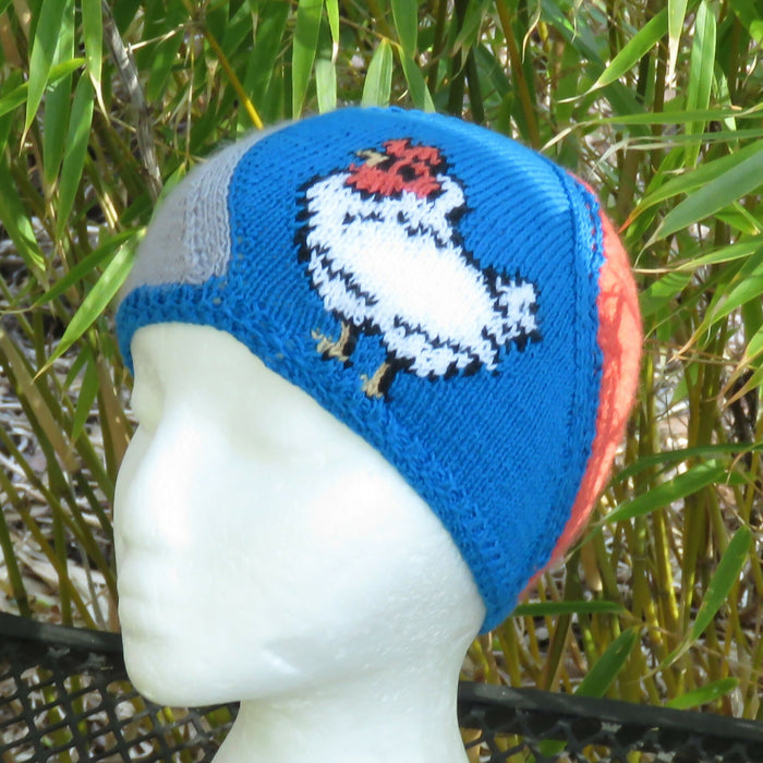 Chicken Coop Beanie Fundraiser