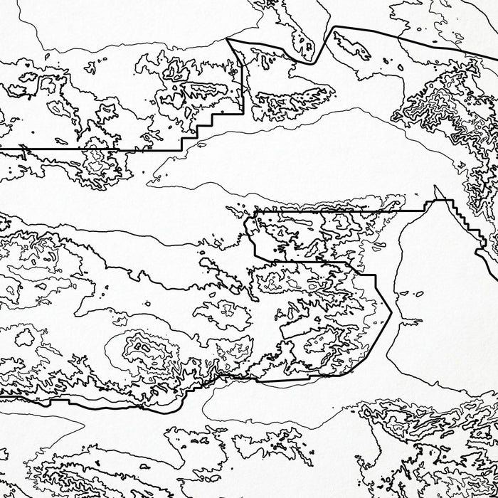 Close-up of black labels and contour lines for Joshua Tree National Park poster with map art.