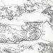 Close-up of black labels and contour lines for Joshua Tree National Park poster with map art.