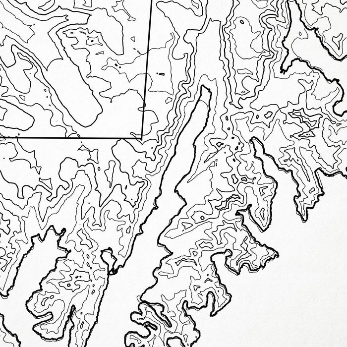 Close look at Kenai Fjords National Park's topographic map art. Clean lines give it a modern and minimalist style.