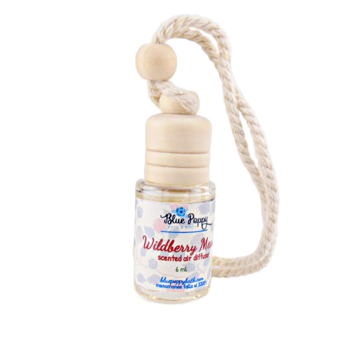 Hanging Air Diffuser, Aromatherapy Bottle for Cars