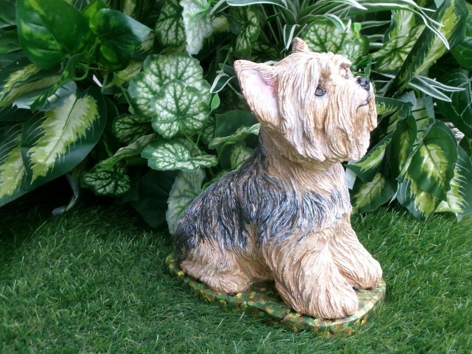 Yorkshire Terrier Concrete Statue, 4x8x9" High