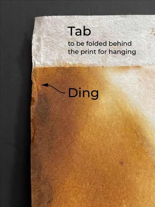 plum flower chromatogram with a slight ding in one corner, by the tab. Text says "tab" over thin white paper and "ding" over the yellow-brown of the print, with an arrow pointing to the dinged corner