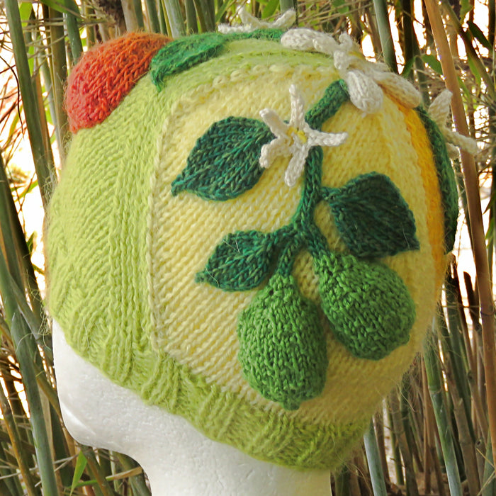 Orange Lemon & Lime Beanie