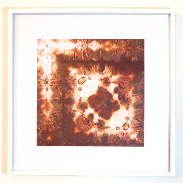 pear chromatogram print in a white frame