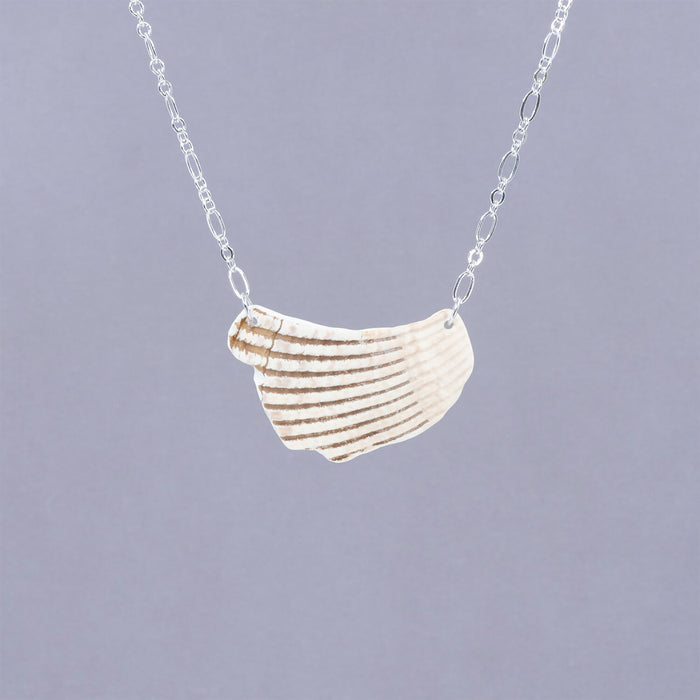 Seashell Necklace