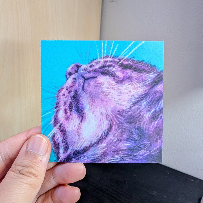 Close Encounters Collection - "Double Chin" Non-Holographic Matte Sticker - Close Up of a Cat's Chin