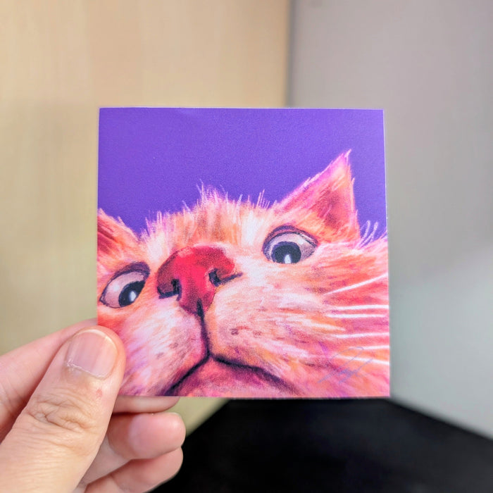 Close Encounters Collection - "Peekaboo" Non-Holographic Matte Sticker - Close Up of a Ginger Cat