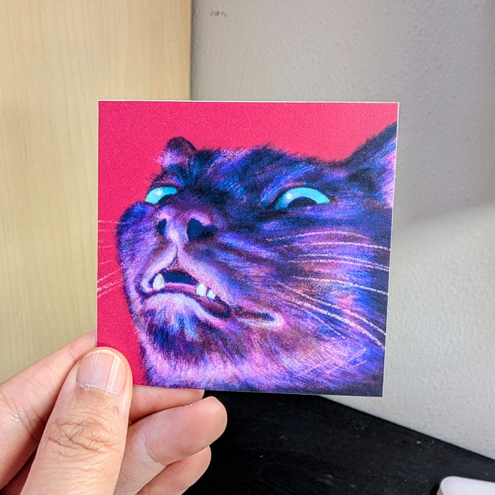 Close Encounters Collection - "Spoopy" Non-Holographic Matte Sticker - Close Up of a Spooky Black Cat