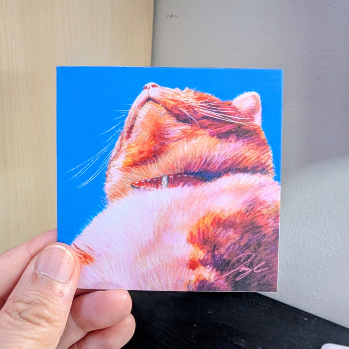 Close Encounters Collection - "Chonk" Non-Holographic Matte Sticker - Close Up of a of Fat Ginger Cat