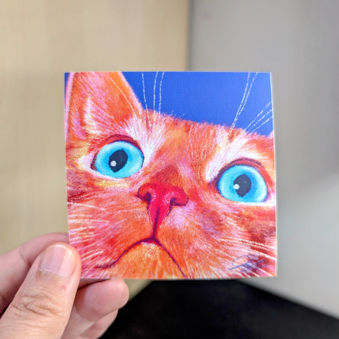 Close Encounters Collection - "No Thoughts" Non-Holographic Matte Sticker - Close up of a Silly Ginger Cat