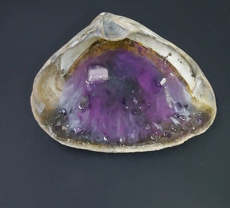Purple Clam Shell Top