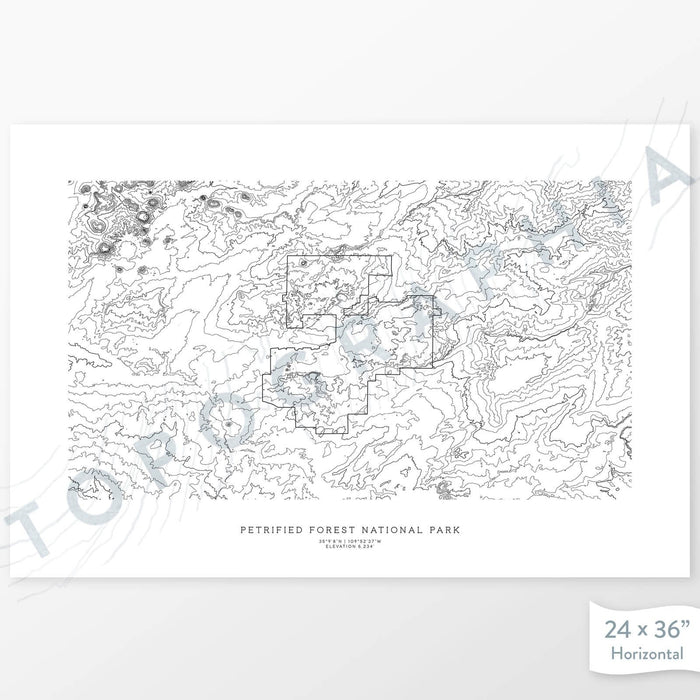 Map wall decor of Petrified Forest National Park with modern map art in black and white.