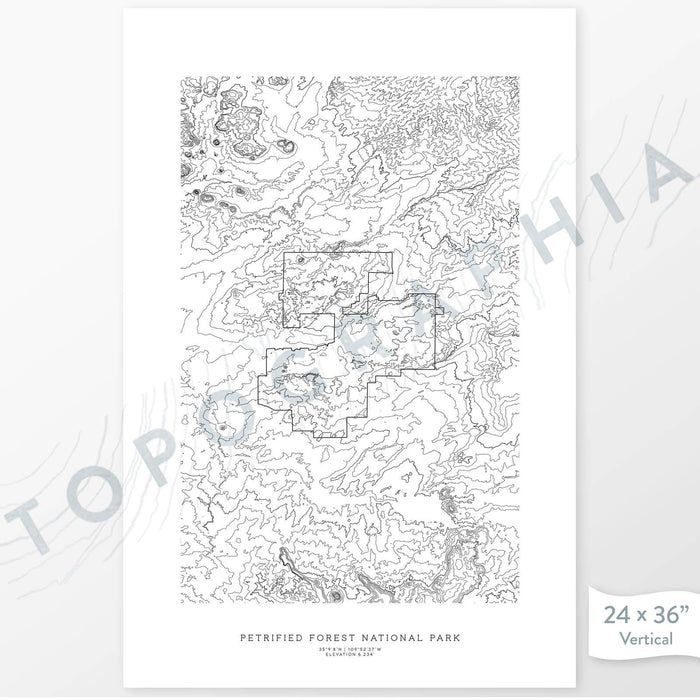 National Park print of Petrified Forest with topography art.