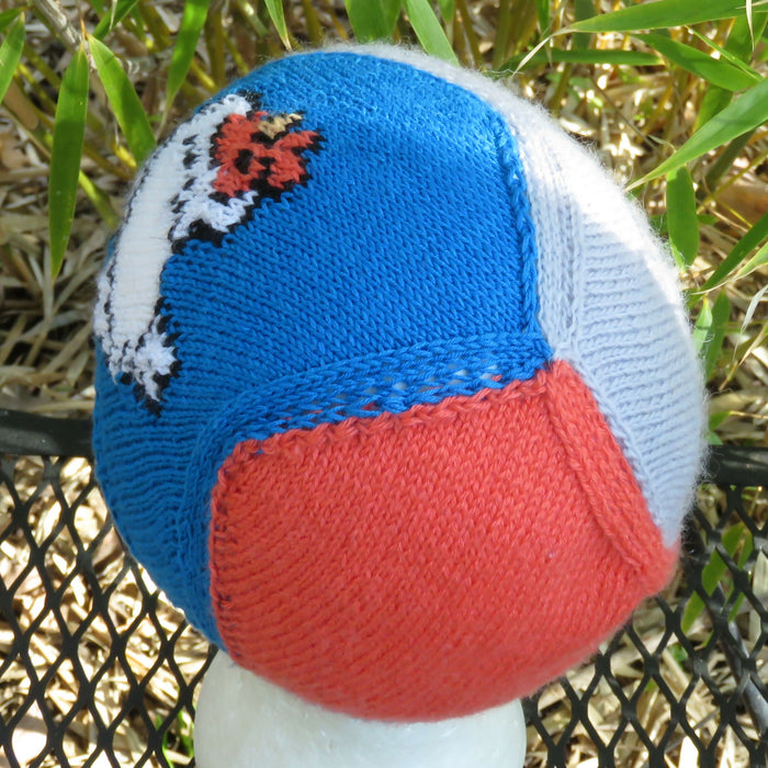 Chicken Coop Beanie Fundraiser