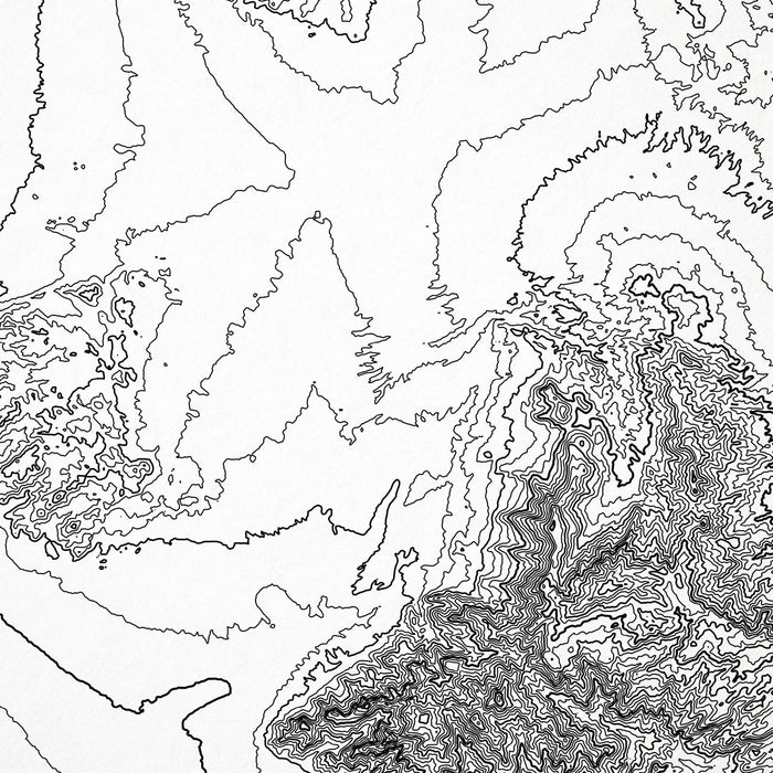 Close look at Saguaro National Park's topographic map art. Clean lines give it a modern and minimalist style.