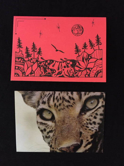Card features evening nature scene with trees, fish, and a seagull on salmon-colored paper. Envelope features close-up photograph of a leopard.
