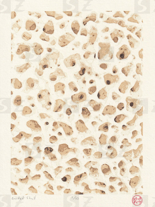 Woodblock print - eroded shell