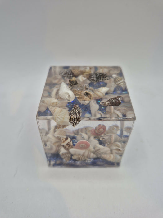Shell Incense Holder