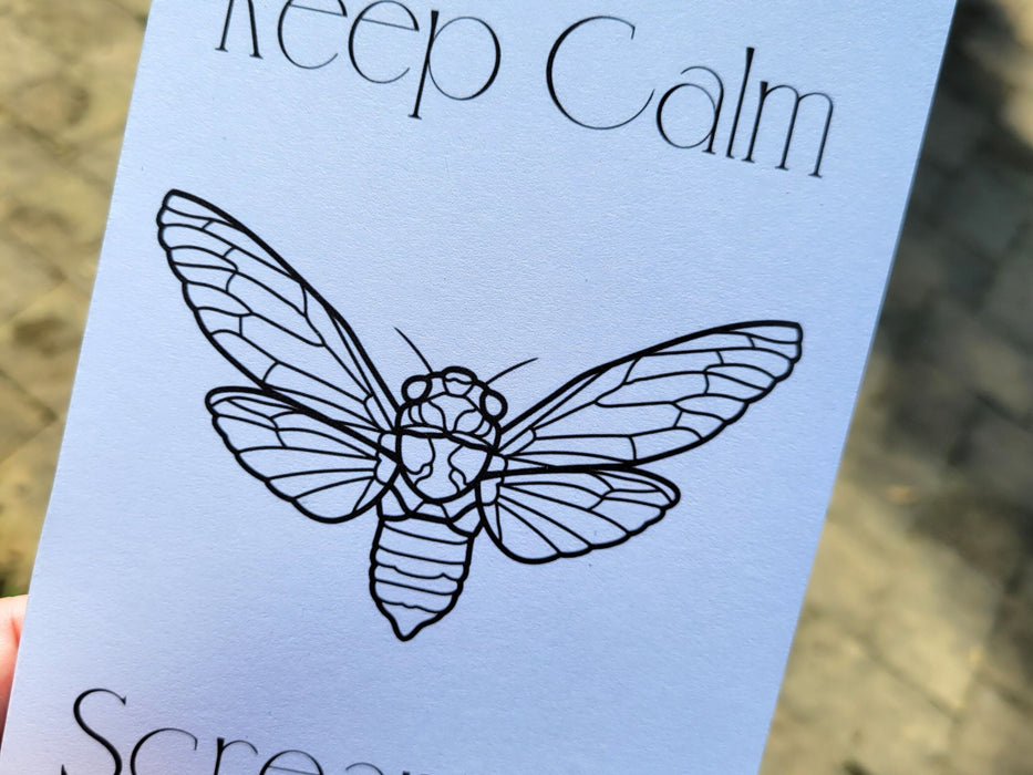 Keep Calm Scream On, Cicada, an Insect Handbound Sketchbook for Mixed Media Art, Sketching, Drawing, and Writing