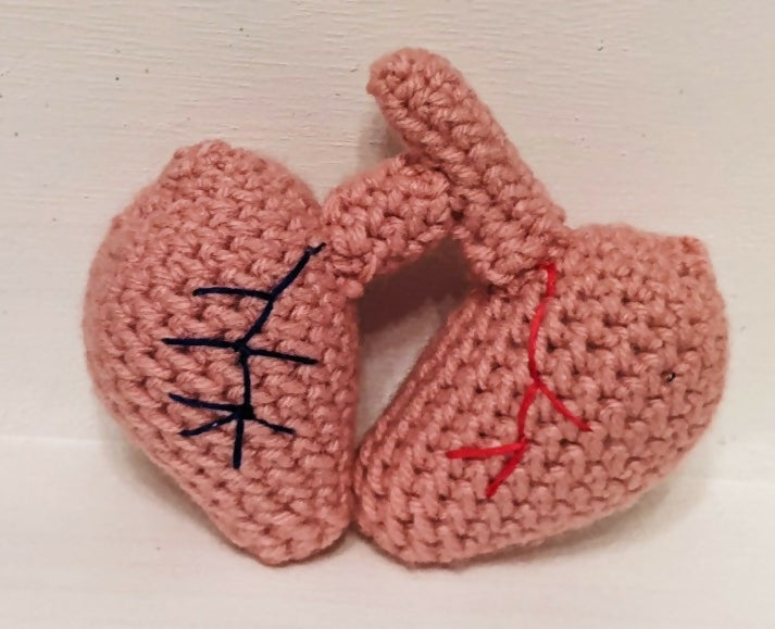 Crochet Organs