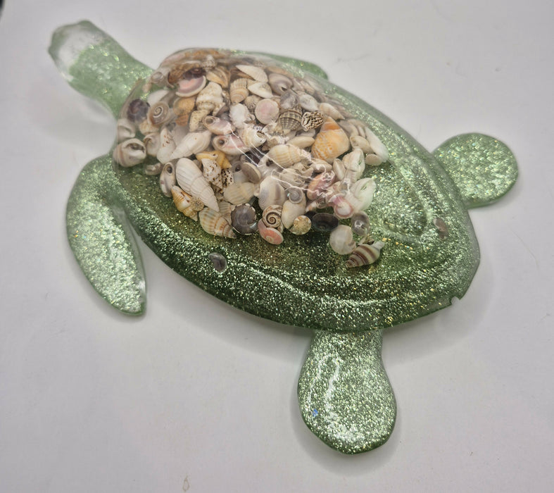 Shell Turtle