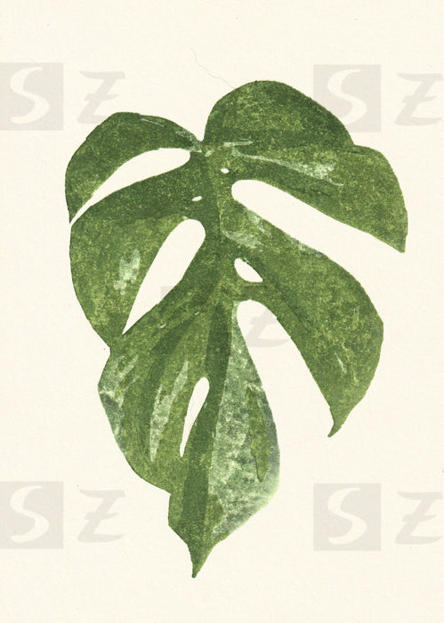 Woodblock print – mini-monstera