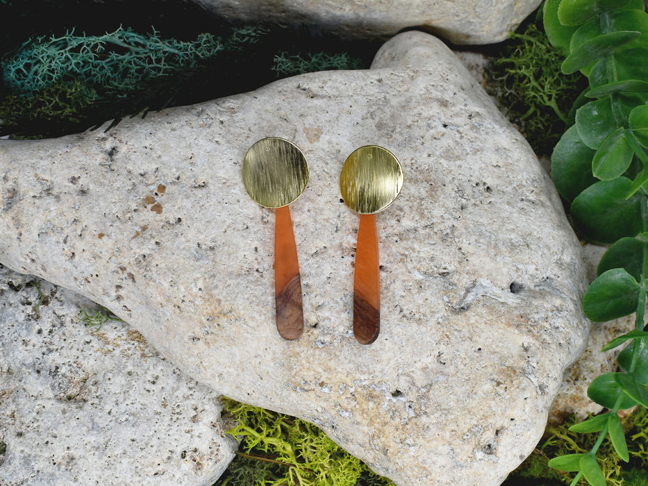 Wood Dangle Earrings with Resin #478