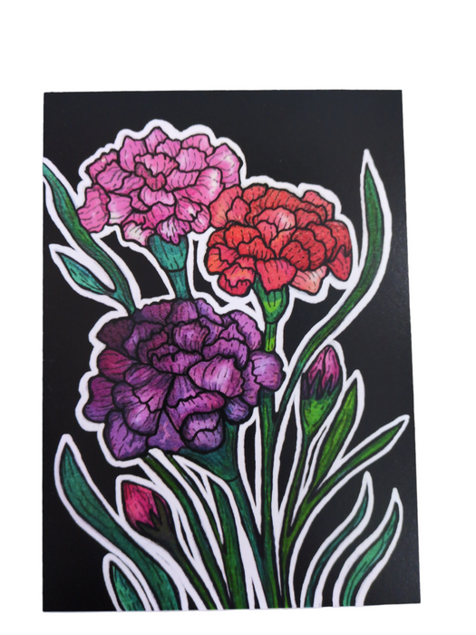 Carnation Prints