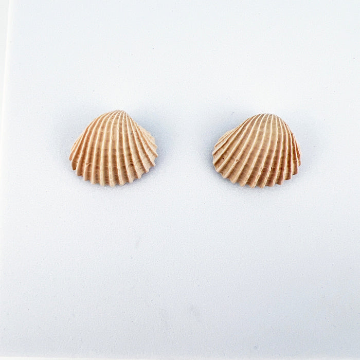 Clam Shell Stud Earrings