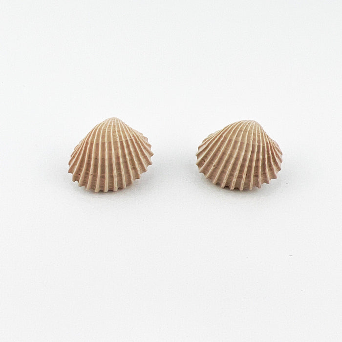 Clam Shell Stud Earrings