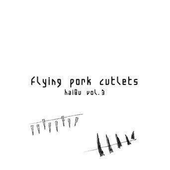 haiQu 3 Flying Pork Cutlets