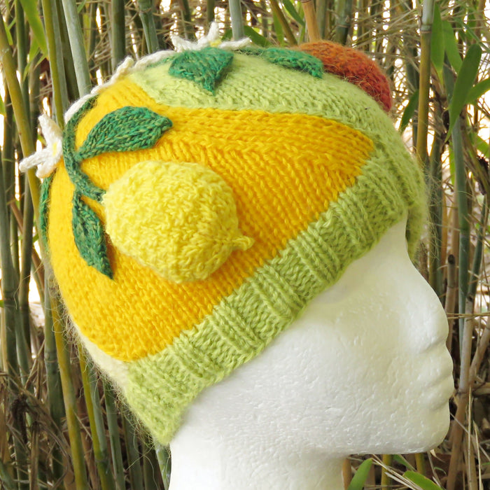 Orange Lemon & Lime Beanie