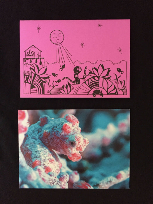 Card features the full moon shining down on an octopus, crab, and fish swimming below a small house on lilac-colored paper. Envelope features up-close photograph of a seahorse.